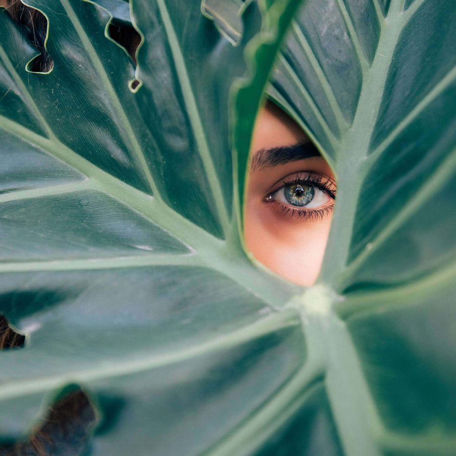 Eye peeping through a large green leaf