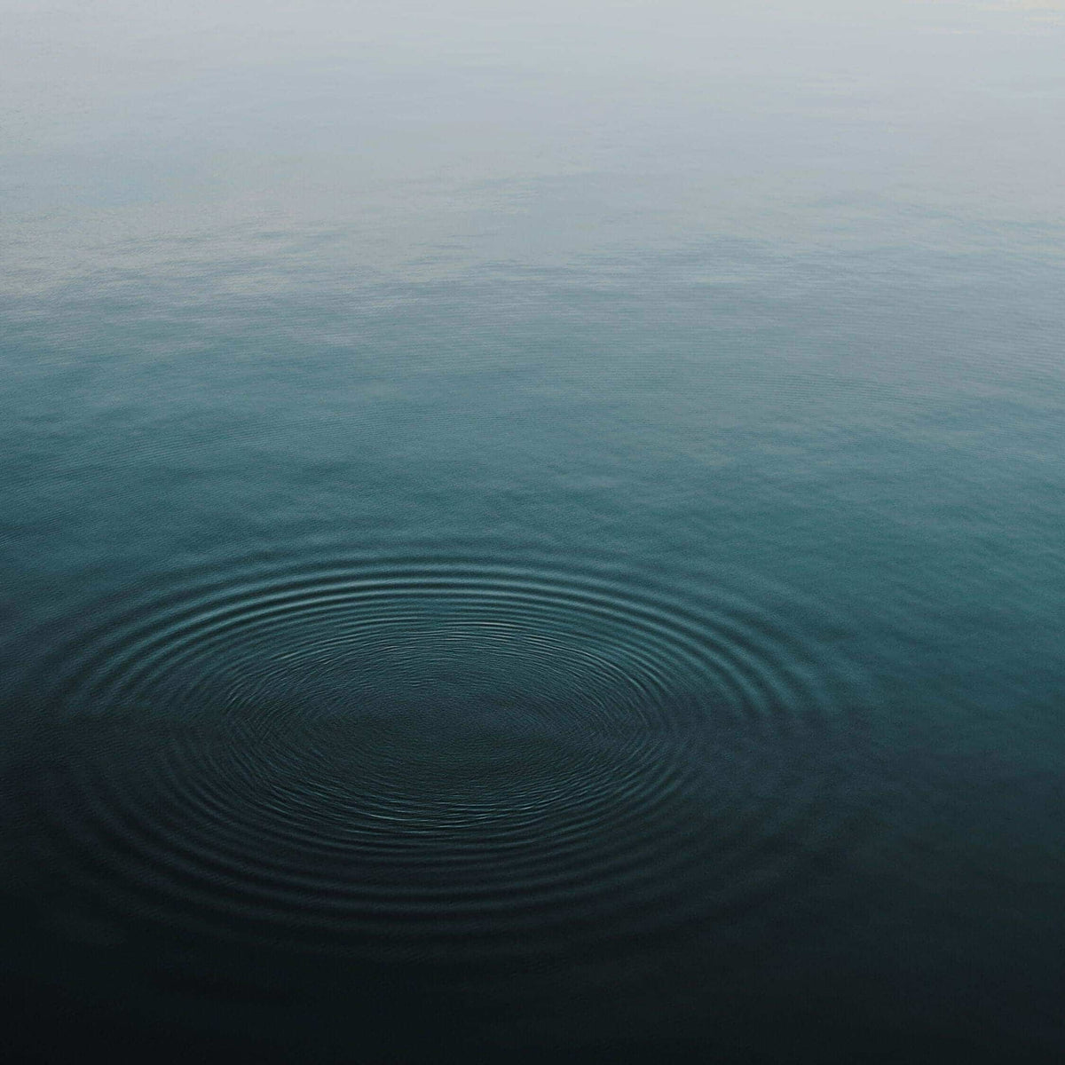 Ripple on calm water