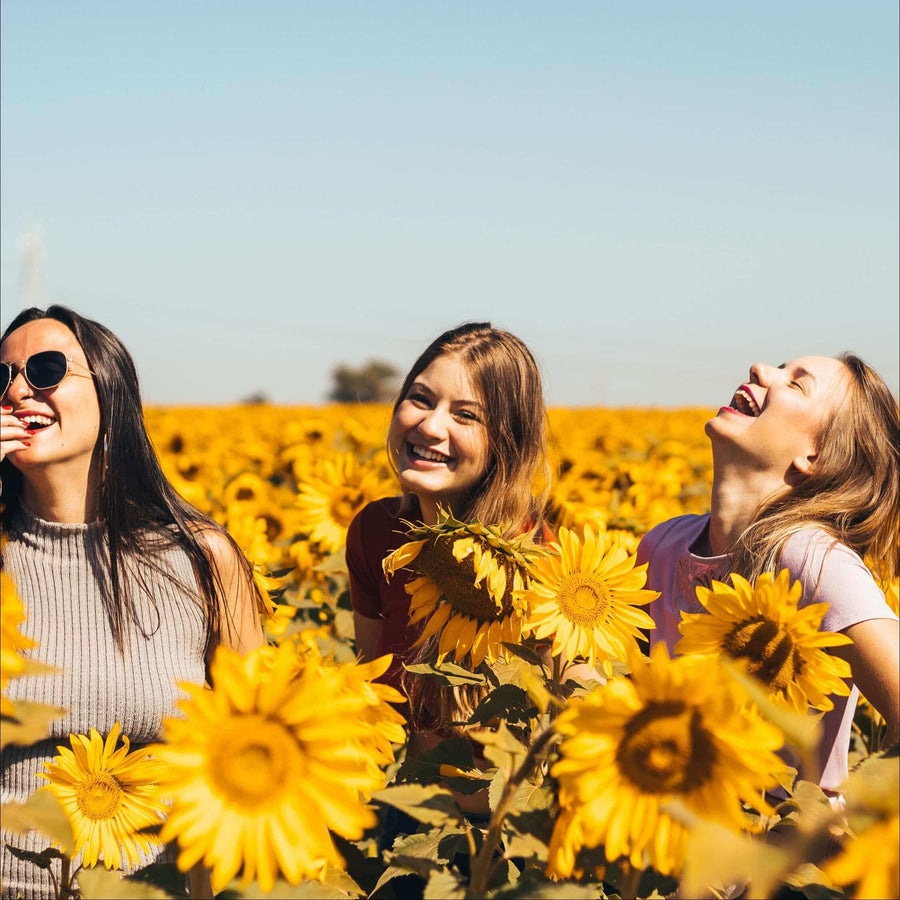 Three friends laughing in a field of sunflowers