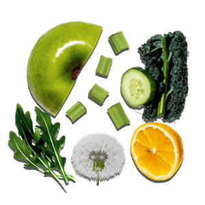 juice from a succulent that aids digestion The Digestive Aid