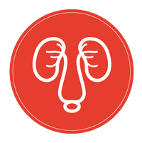 kidney