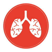 lung