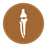 bone
