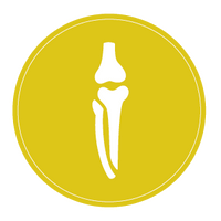 bone