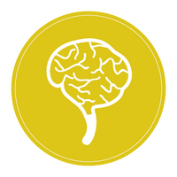 brain