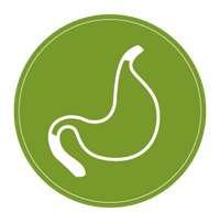stomach