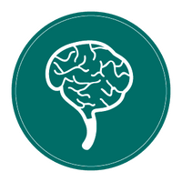 brain