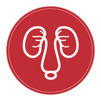 kidney
