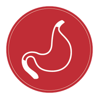 stomach