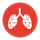 lung