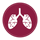 lung