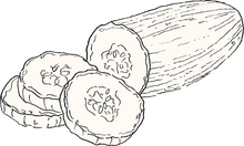Cucumber