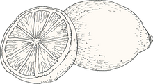 Lemon