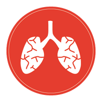 lung