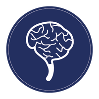 brain