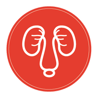 kidney