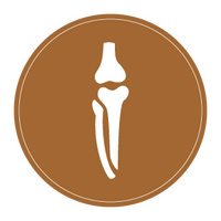 bone