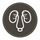 kidney