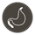 stomach
