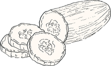 Cucumber
