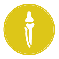 bone