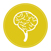 brain