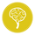 brain