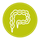 colon