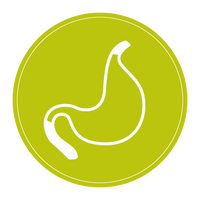 stomach