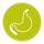 stomach