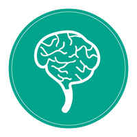 brain