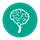 brain