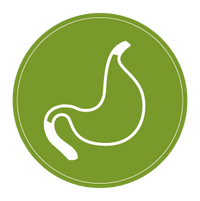 stomach