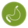 stomach