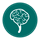 brain