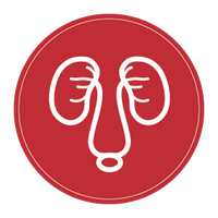 kidney