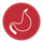 stomach