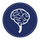 brain