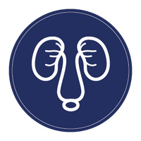 kidney