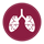 lung